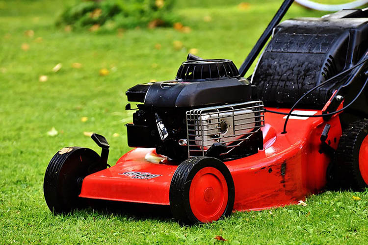lawn care outback home services