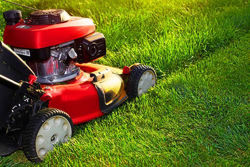 Lawn mowing and edging services