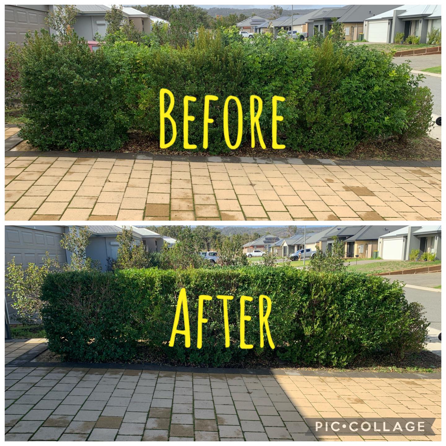 Hedge trimming services perth