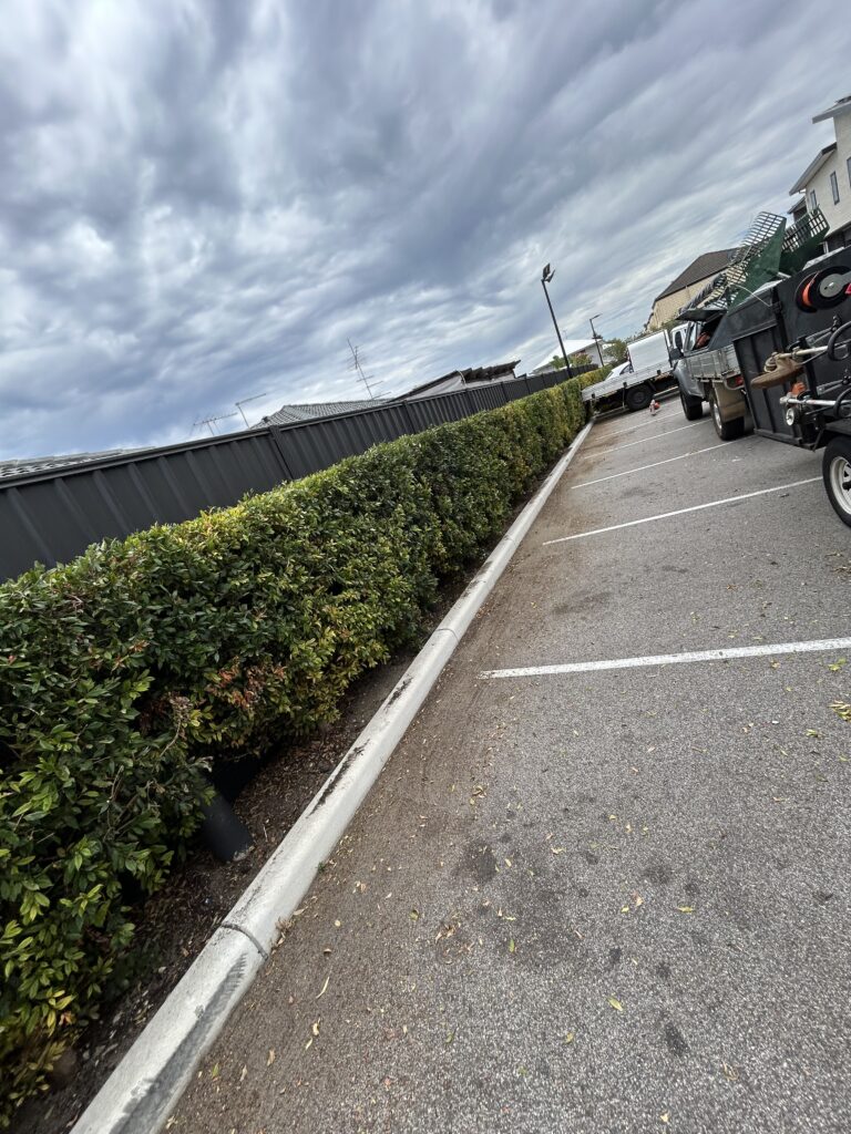 Professional hedge trimming and hedging services in Perth Hills