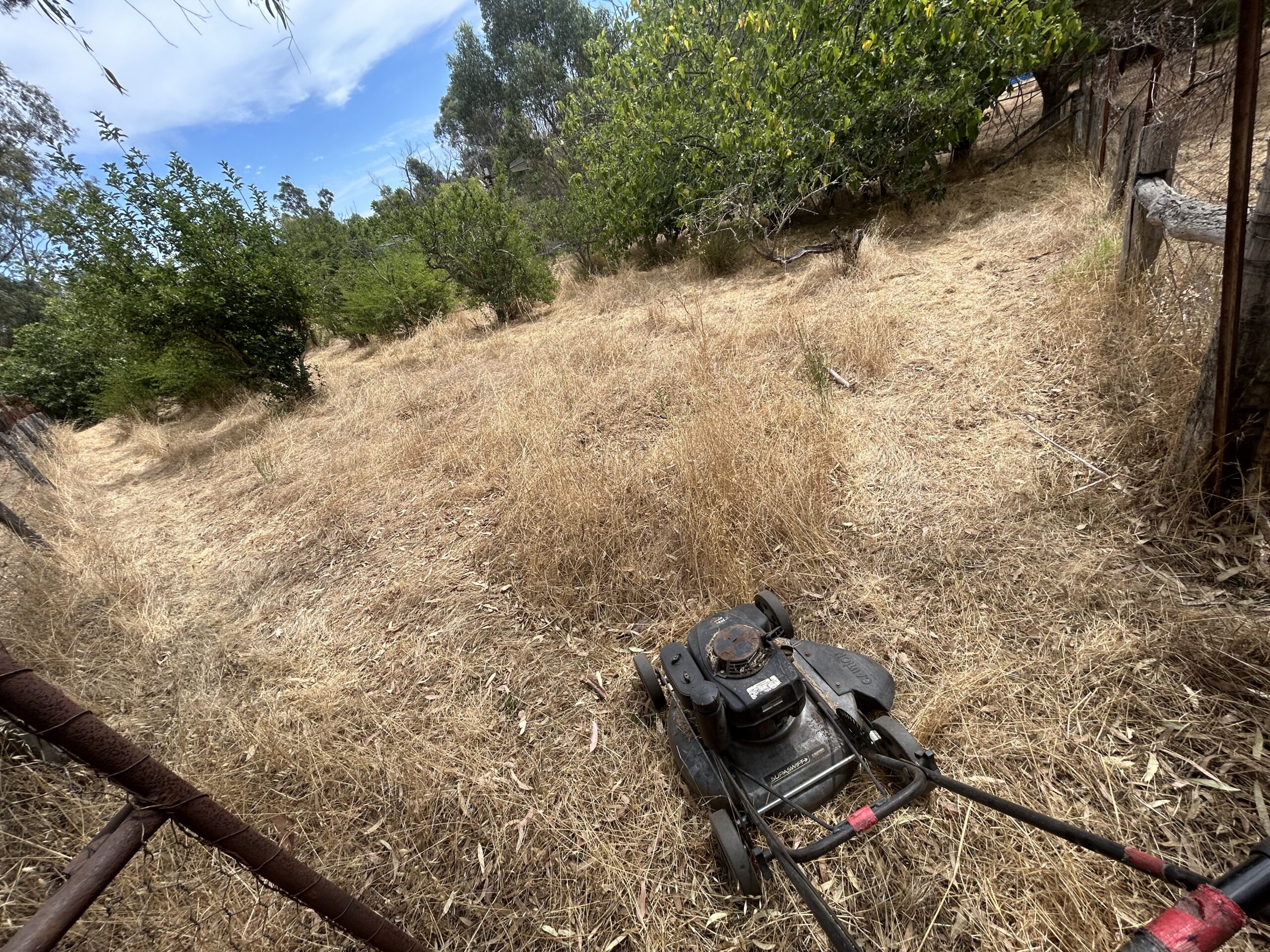 Overgrown yard cleanup service in Perth Hills