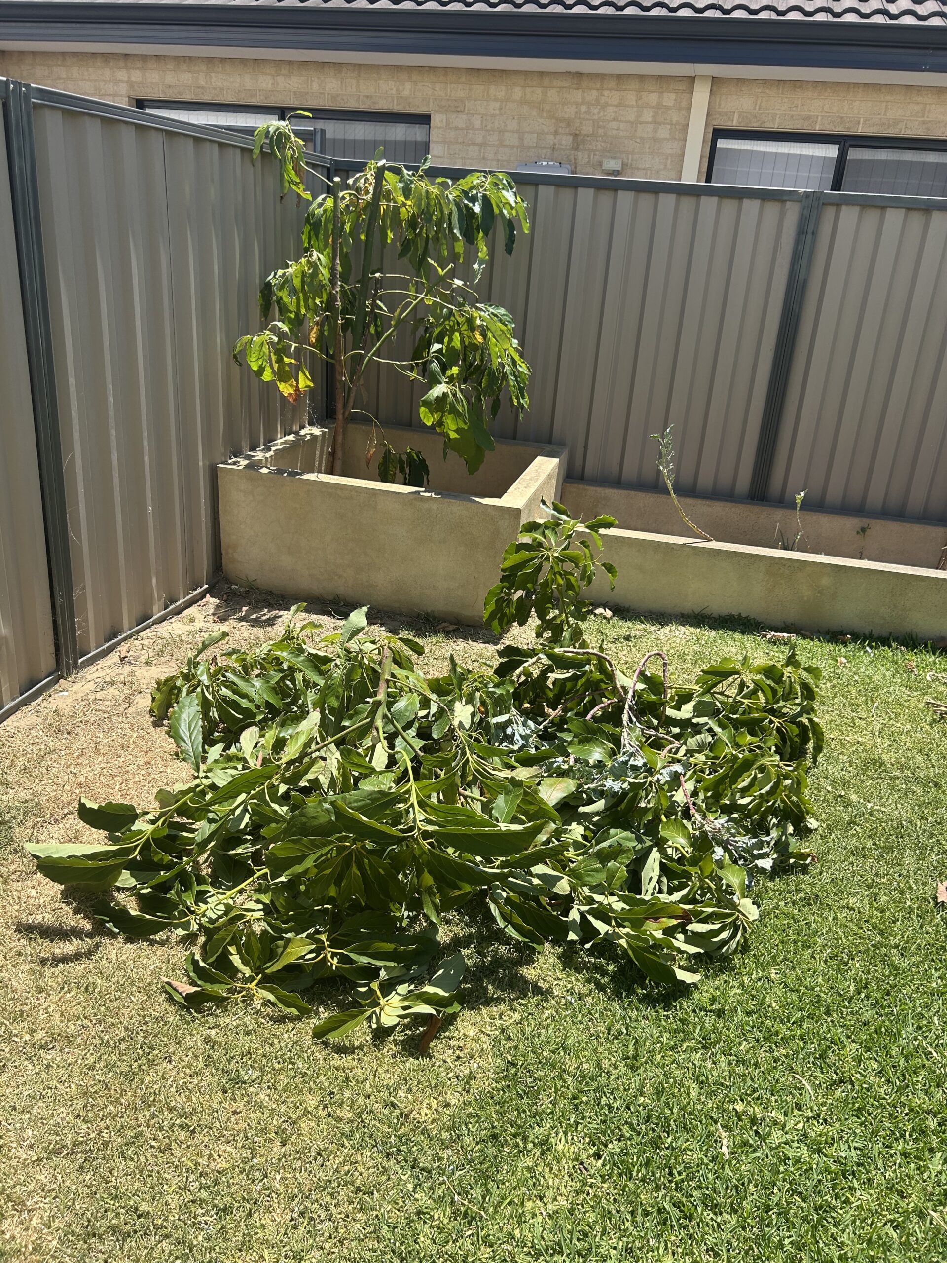 Tree pruning and garden maintenance service in Perth Hills