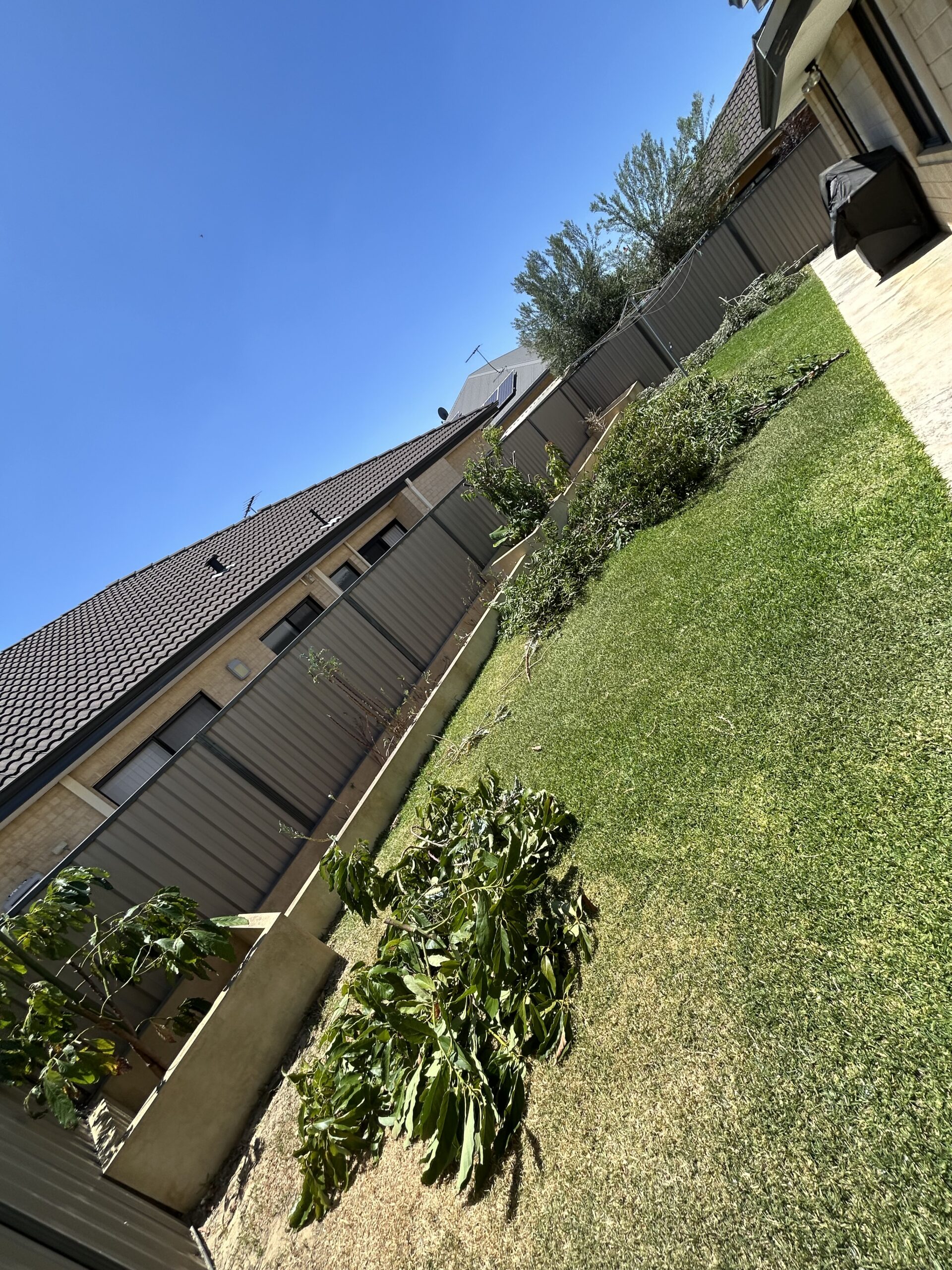 Professional garden pruning service in Perth Hills