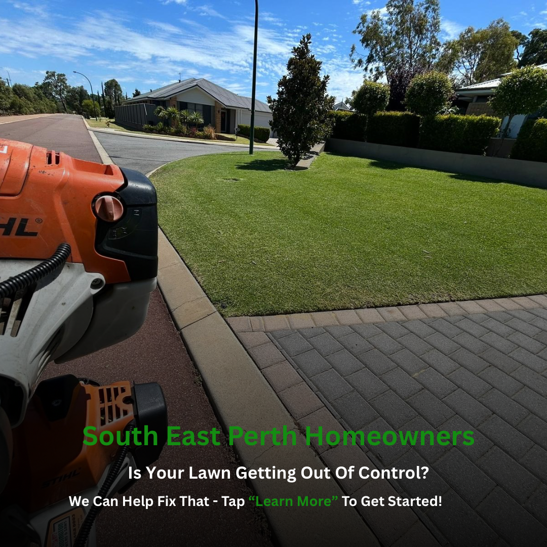Professional whipper snipping and lawn edging in Perth Hills