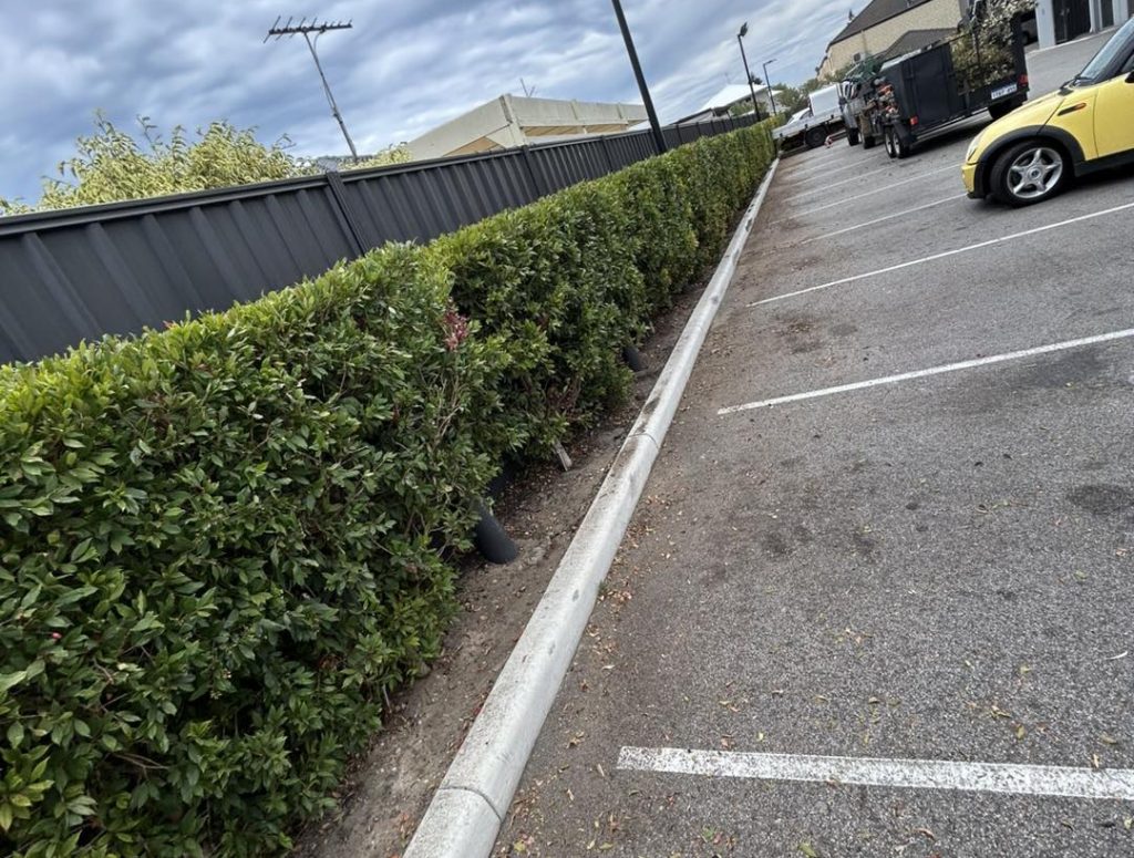 491039304_1305113217816904_8146052958973900882_n