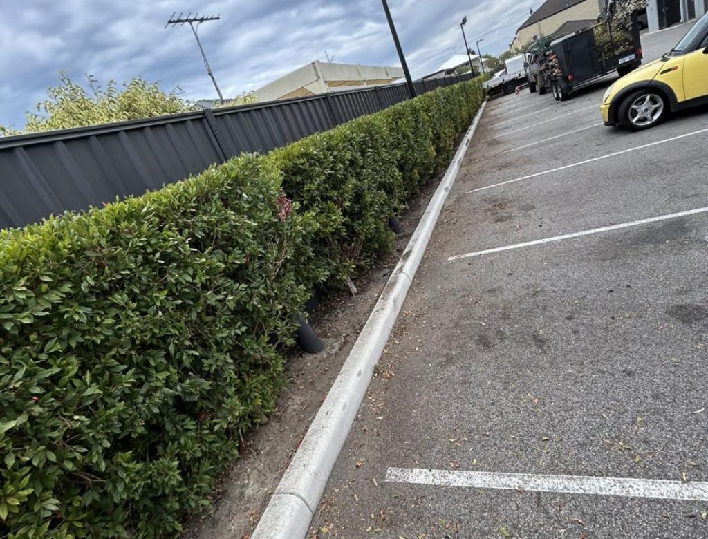 491039304_1305113217816904_8146052958973900882_n