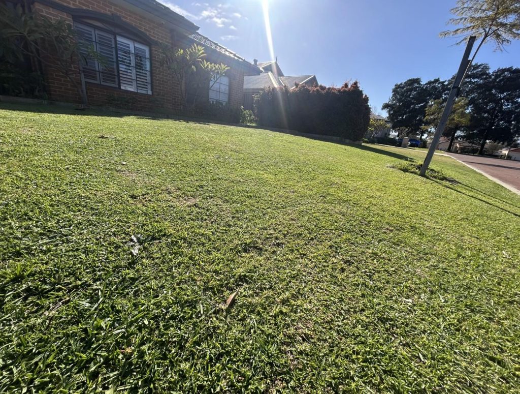 Lawn care perth